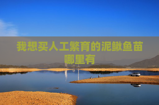 我想买人工繁育的泥鳅鱼苗哪里有