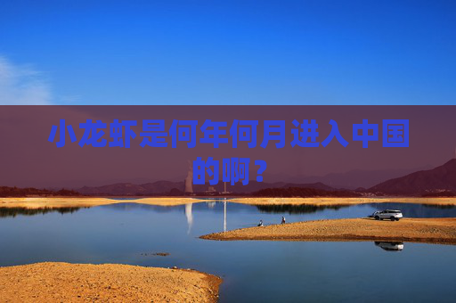 小龙虾是何年何月进入中国的啊？