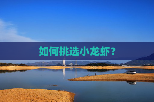 如何挑选小龙虾？