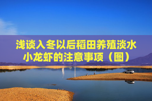 浅谈入冬以后稻田养殖淡水小龙虾的注意事项(图)