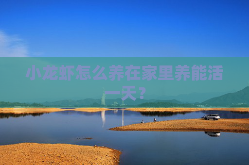 小龙虾怎么养在家里养能活一天？
