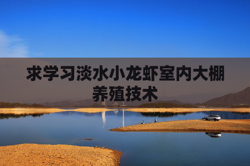 求学习淡水小龙虾室内大棚养殖技术