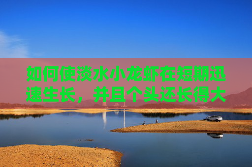 如何使淡水小龙虾在短期迅速生长，并且个头还长得大？