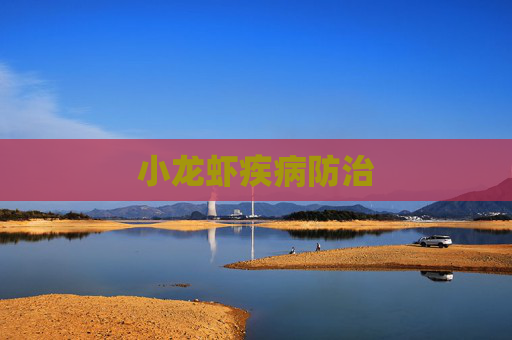 小龙虾疾病防治