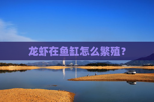 龙虾在鱼缸怎么繁殖？