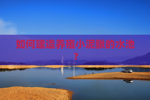 如何建造养殖小泥鳅的水池？