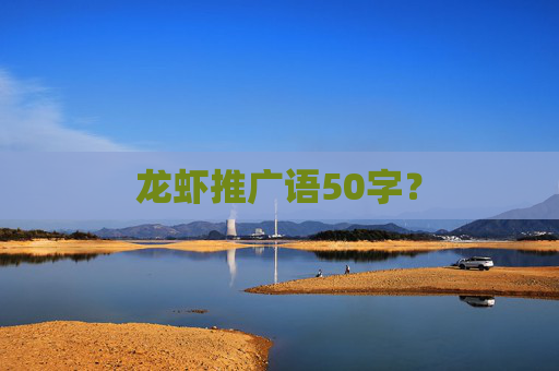 龙虾推广语50字？