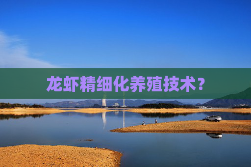 龙虾精细化养殖技术？
