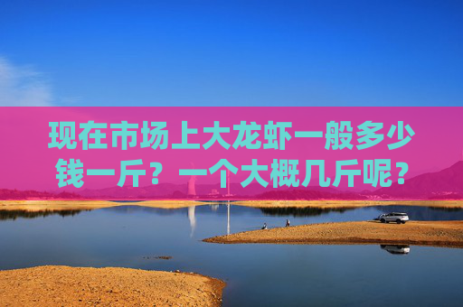 现在市场上大龙虾一般多少钱一斤？一个大概几斤呢？