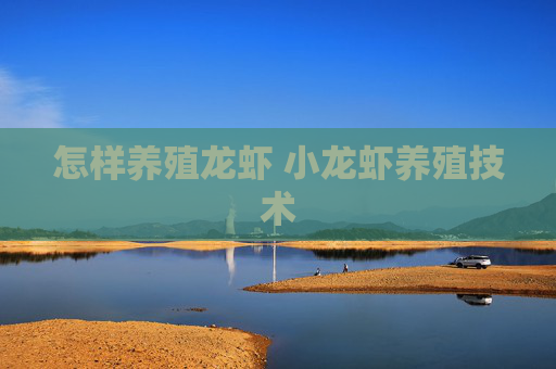 怎样养殖龙虾 小龙虾养殖技术