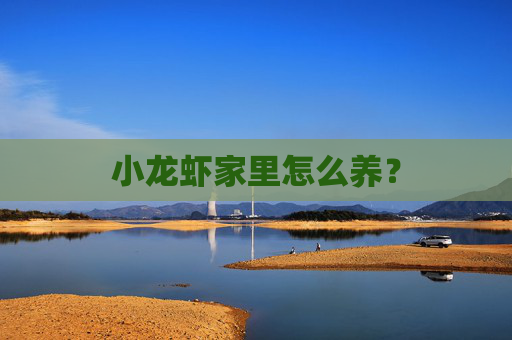 小龙虾家里怎么养？