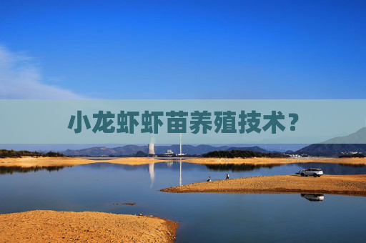 小龙虾虾苗养殖技术？