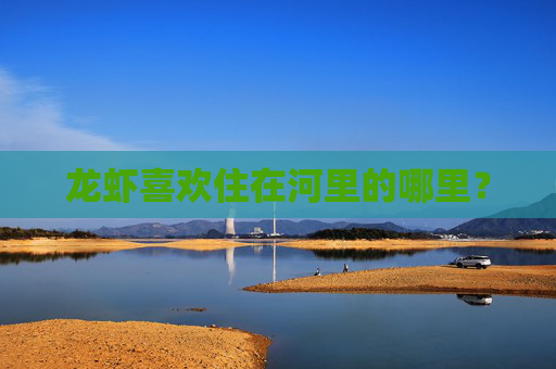 龙虾喜欢住在河里的哪里？