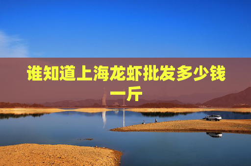 谁知道上海龙虾批发多少钱一斤