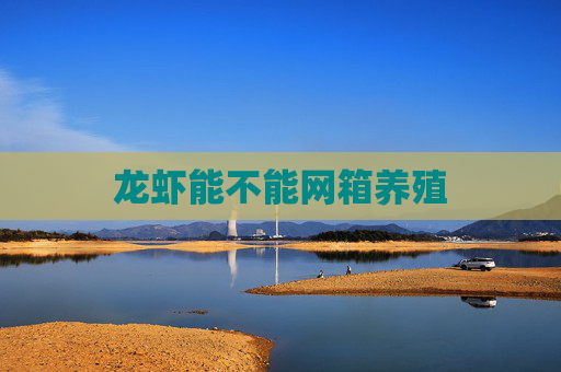 龙虾能不能网箱养殖
