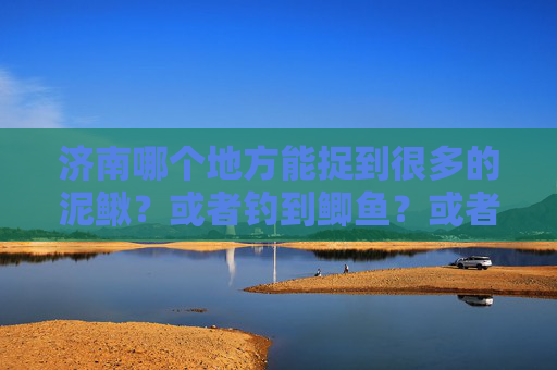 济南哪个地方能捉到很多的泥鳅？或者钓到鲫鱼？或者能捉龙虾？？？？