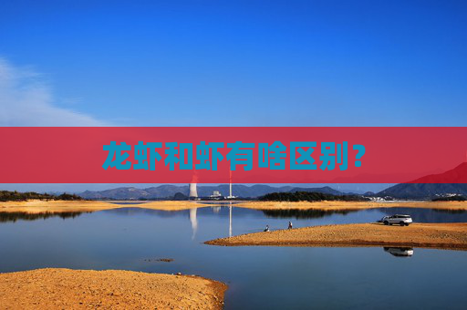 龙虾和虾有啥区别？