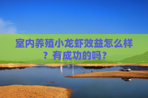 室内养殖小龙虾效益怎么样？有成功的吗？