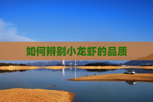 如何辨别小龙虾的品质