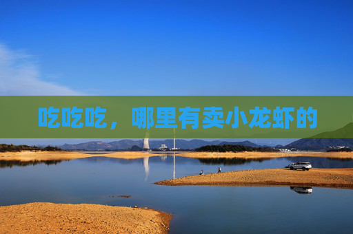 吃吃吃，哪里有卖小龙虾的