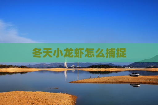 冬天小龙虾怎么捕捉