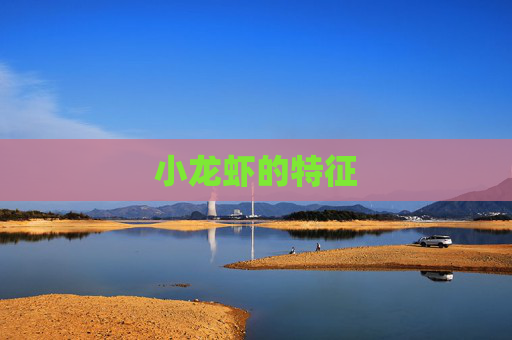 小龙虾的特征