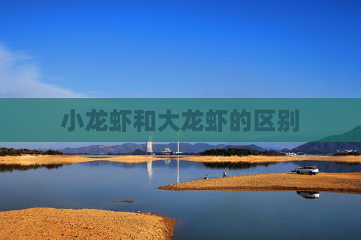 小龙虾和大龙虾的区别