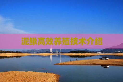 泥鳅高效养殖技术介绍