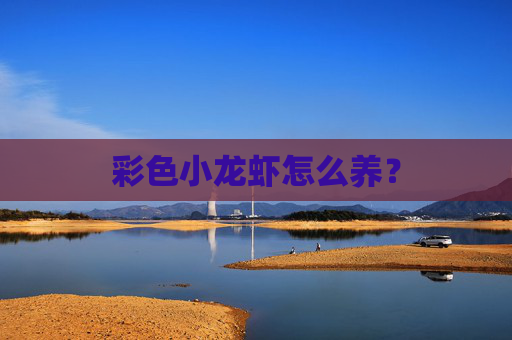 彩色小龙虾怎么养？