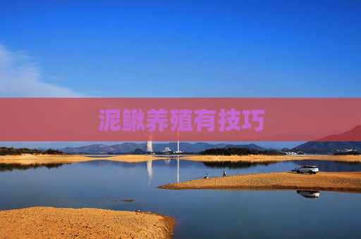 泥鳅养殖有技巧