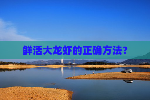 鲜活大龙虾的正确方法？
