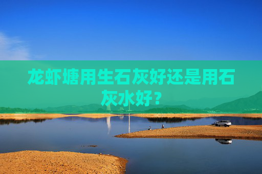 龙虾塘用生石灰好还是用石灰水好？