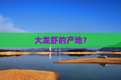 大龙虾的产地？