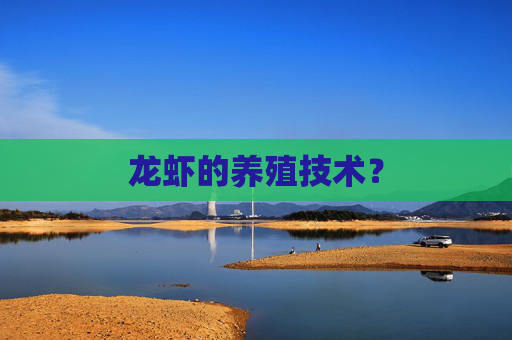 龙虾的养殖技术？