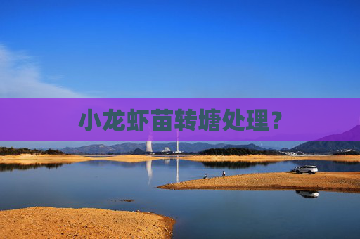 小龙虾苗转塘处理？