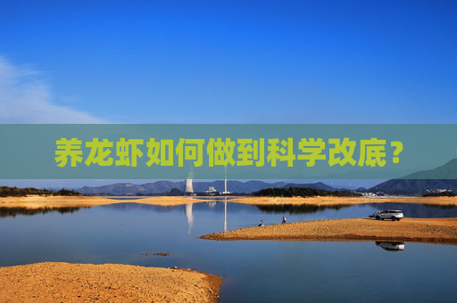 养龙虾如何做到科学改底？