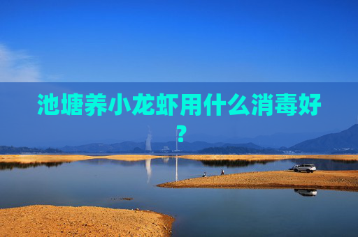 池塘养小龙虾用什么消毒好？