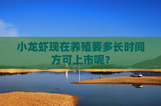 小龙虾现在养殖要多长时间方可上市呢? 小龙虾现在养殖要多长时间方可上市呢?