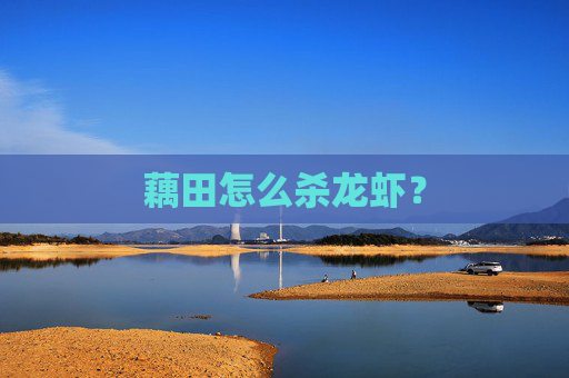 藕田怎么杀龙虾？