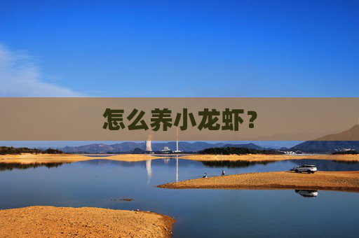 怎么养小龙虾？