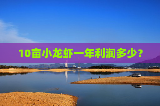 10亩小龙虾一年利润多少？