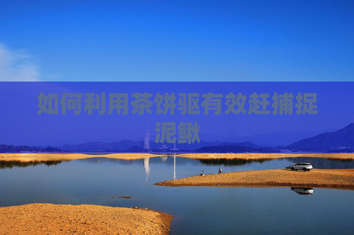 如何利用茶饼驱有效赶捕捉泥鳅