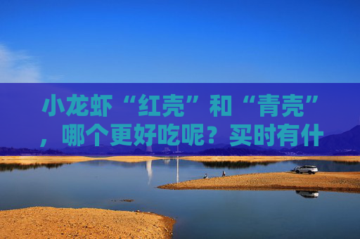 小龙虾“红壳”和“青壳”，哪个更好吃呢？买时有什么要注意的呢？