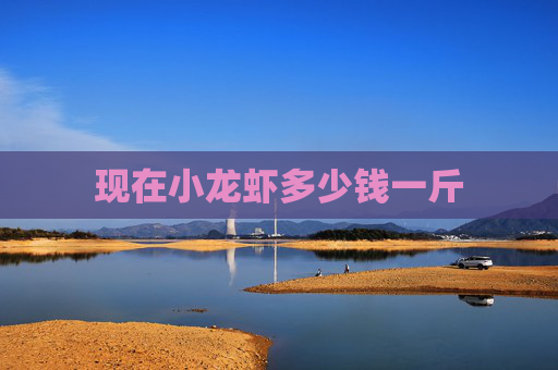现在小龙虾多少钱一斤