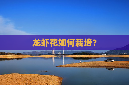 龙虾花如何栽培？