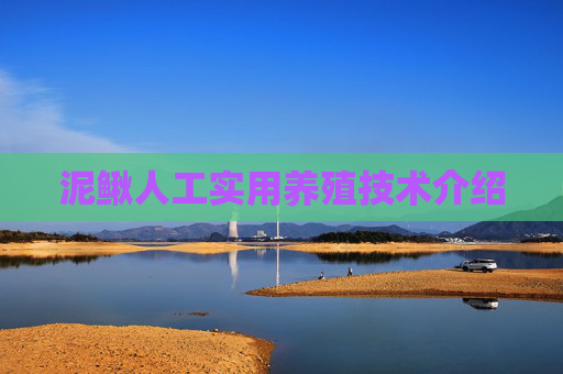 泥鳅人工实用养殖技术介绍