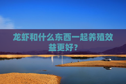 龙虾和什么东西一起养殖效益更好？