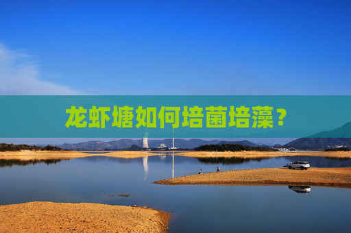 龙虾塘如何培菌培藻？