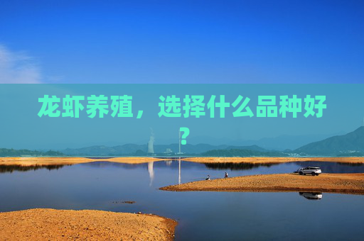 龙虾养殖，选择什么品种好？