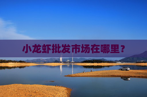 小龙虾批发市场在哪里？